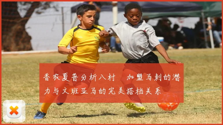 香农夏普分析八村塁加盟马刺的潜力与文班亚马的完美搭档关系