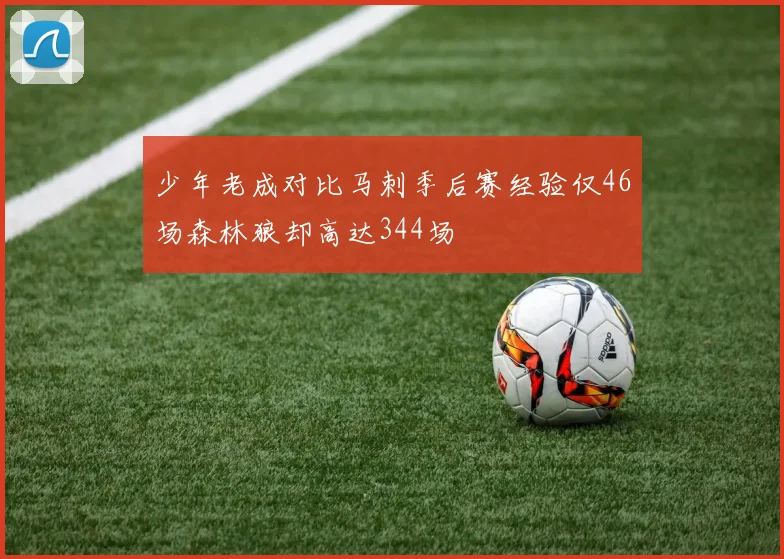 少年老成对比马刺季后赛经验仅46场森林狼却高达344场